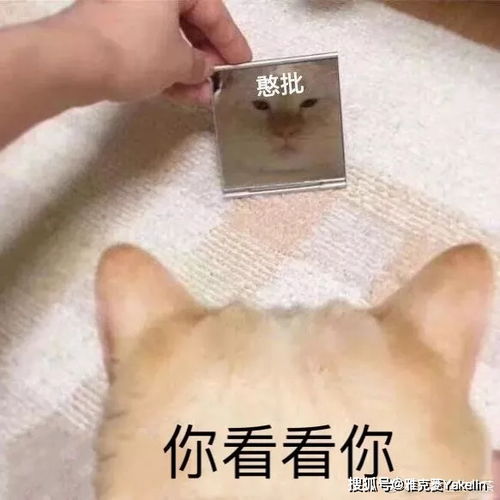  别再欺负戴牙套的妹子了她们真的太难了
