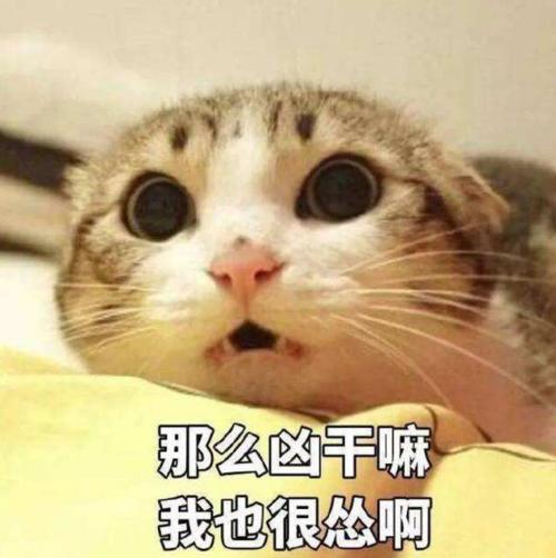 猫捏脸表情包手绘开心笑