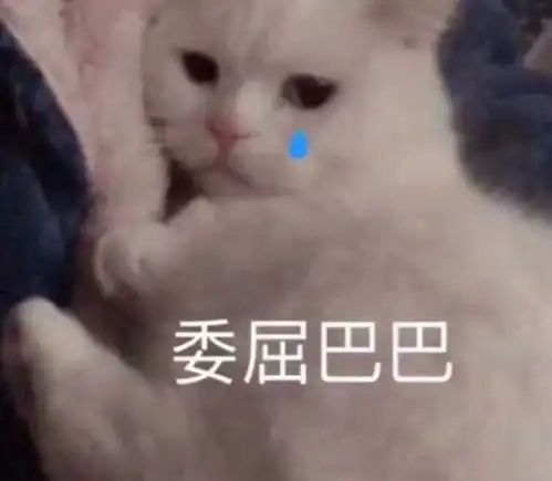  可爱有趣的沙雕朋友圈文案