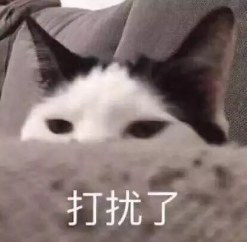  你给你idol做过最值得骄傲的事是什么