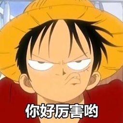  新闻哥2015年的最后一个月2015.12.01