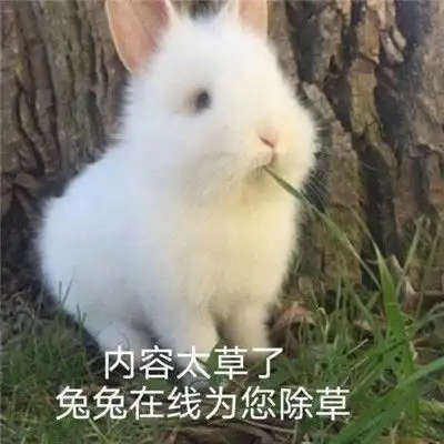  2022沙雕至极的个性聊天表情精选合集这谁顶得住啊搞笑聊天表情
