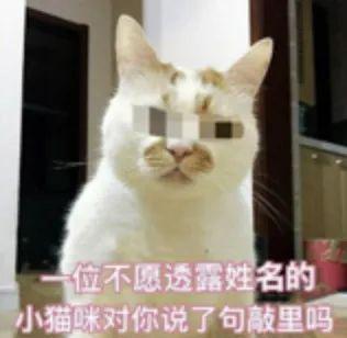  受到惊吓丨第960期喵表情包