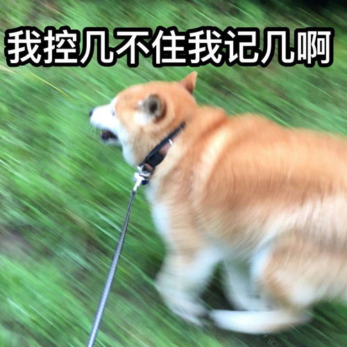  大家都来说说自己是怎么从瘦到胖的