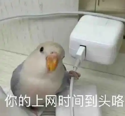 减肥减个屁表情包鸭子