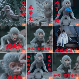  诛仙青云志小灰动态表情包下载诛仙青云志三眼灵猴表情包gif共9张腾牛下载