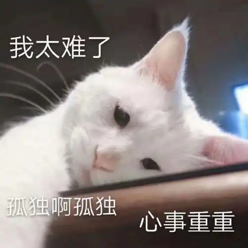  斗图表情包合集你真是个憨憨