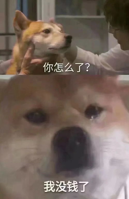  京剧版燃烧我的卡路里成功地让我忘记了原唱