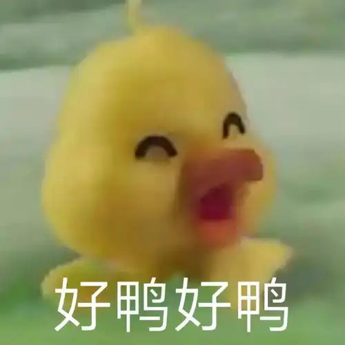  有这种小黄鸭的表情包么,谢谢