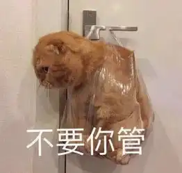  阁下你的可爱猫咪表情包已更新上线,请注意查收
