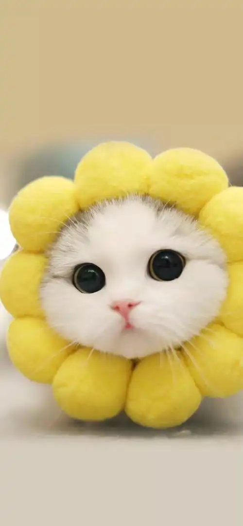  在长沙能有好的花艺培训吗