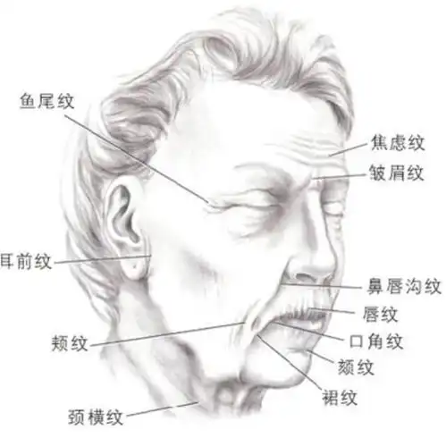  小s公开承认这些地方是整的她是又喝多了吗
