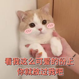  超奈斯表情包无限喜欢你,最喜欢你,只喜欢你,都是你