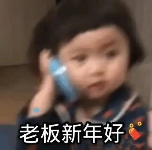  表情包老板新年好
