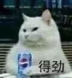  说说我的护肤年度榜单,没有它们我还怎么靠脸吃饭
