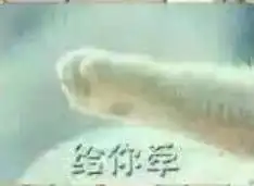  另类牵手表情包,完全不按套路出牌,防不胜防啊
