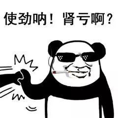  熊猫头打斗表情包三脚猫功夫让我发笑哈哈哈