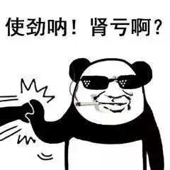  熊猫头打斗表情包三脚猫功夫让我发笑哈哈哈