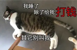  用这些猫咪表情包问爸妈要零花钱,发一张就能要来100块