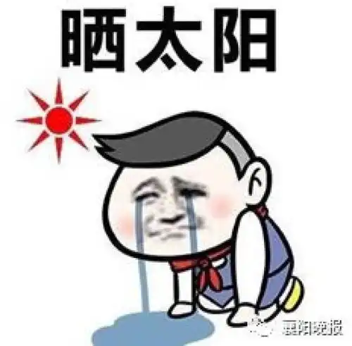  如果襄阳没有这10个人,咱们的夏天要怎么过