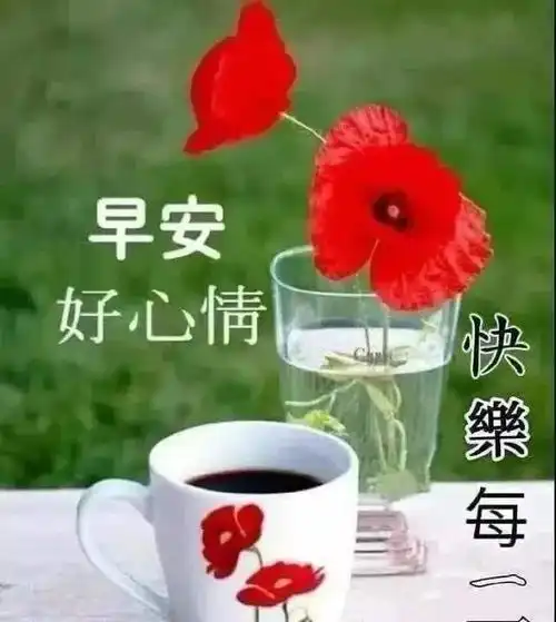  清晨早上好问候语表情图片2020漂亮早安正能量问候语