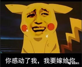  rain和金泰熙宣布结婚了其实缘分早就注定了