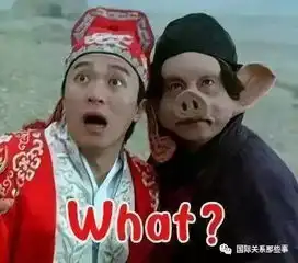 中老年人表情包素材瑾轩