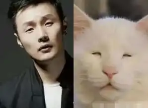  李荣浩调侃自己长得丑,杨丞琳神回复让人笑哭,真是一对活宝夫妻