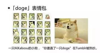  表情包原型大盘点,原来是他她它