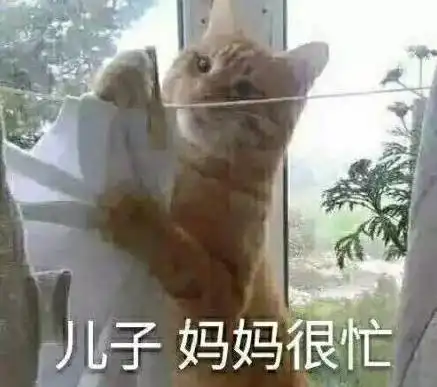 抱大腿图片表情包搞笑好