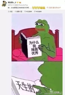 不想当冠军的段子手不是好表情包