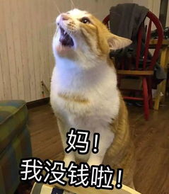  树洞放假的感觉好吗