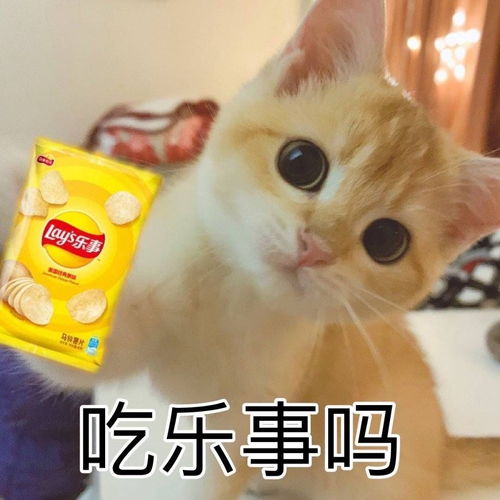  有没有撩人的表情包