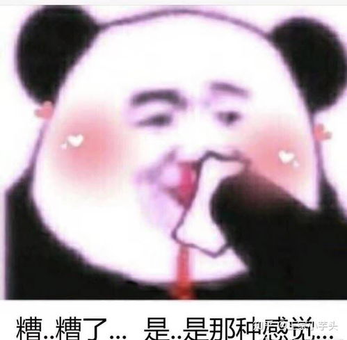 你解放了表情包肝细胞