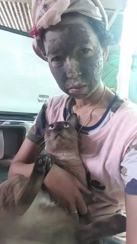 真怂表情包主人