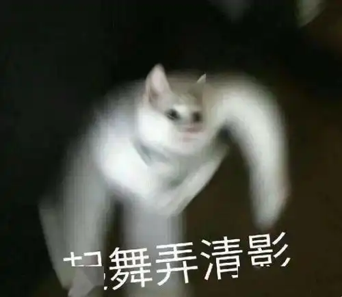  萌新致富经隐藏钻石彩蛋攻略专属萌新活动来了进来挖30钻