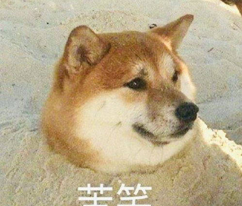 刘昊然为角色放弃形象,增肥染发又黑又土,真爱粉看了都嫌弃