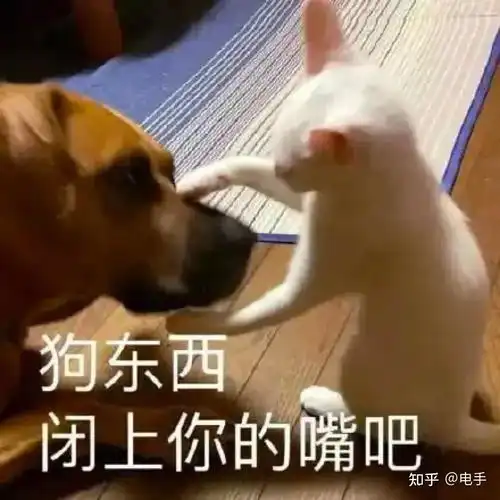 在线表情包沙雕废纸