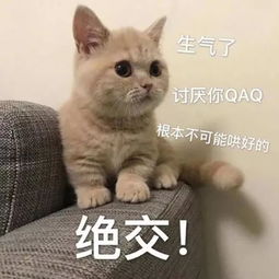  撒娇专用表情包咬你,大坏蛋