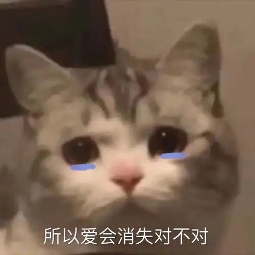  小猫咪表情包别问问就是直男