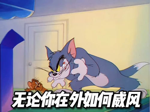 主页那图,逗对象,每天更新表情包