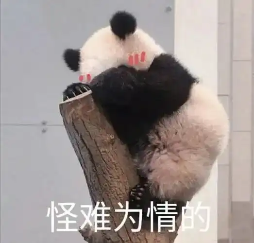  比中沪牌还难近20倍凌晨5点排队,就为了见ta一分钟