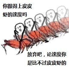  皮皮虾造反了表情图片高清无水印