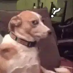 杭州丨懵男子被富二代开宝马追尾,对方全责但他没获赔还要倒贴对方18万 杭州丨懵男子被富二代开宝马追尾,对方全责但他没获赔还要倒贴对方18万