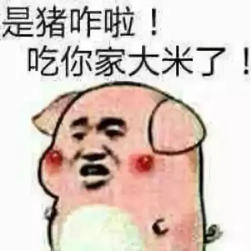 青山江滩每天起床第一句,江滩跑个一公里