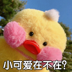  表情包丨王者荣耀ddme