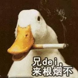 对不起鸭的表情包谢继友