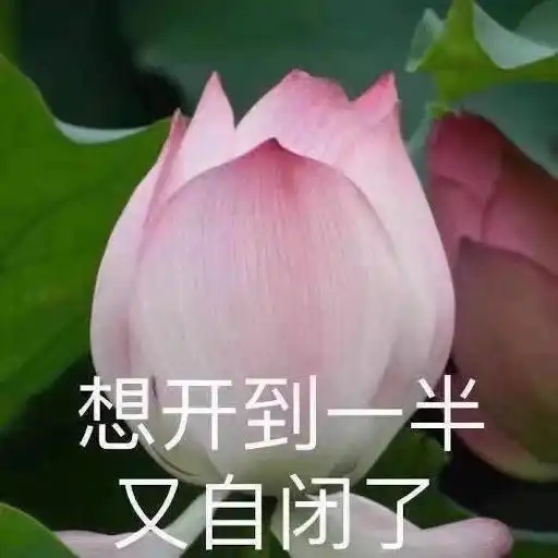  自闭的人是怎么自己跟自己说话的