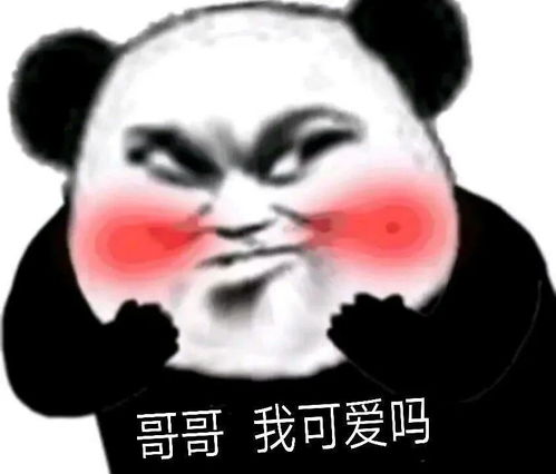 熊猫修仙表情包等级搞笑