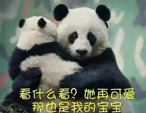 看戏表情包图片大全熊猫